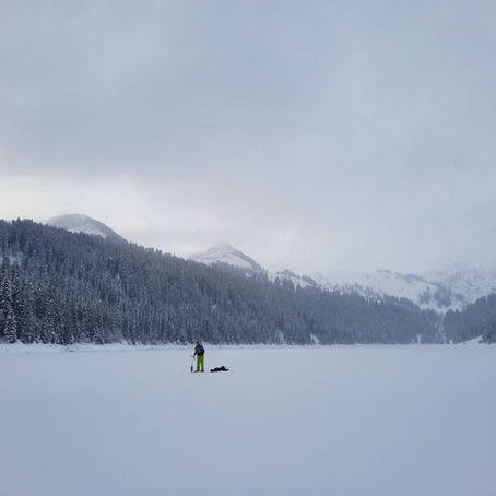 Eisige Ruhe am Arnensee 