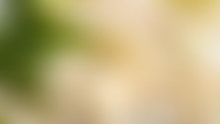 A Game-Changer for IBS: The FODMAP Diet