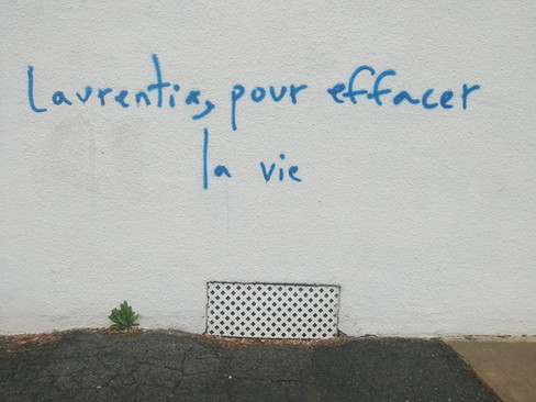 effacerlaVie.jpeg