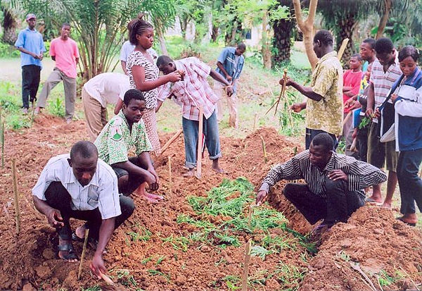 Building Soil Fertility.jpg