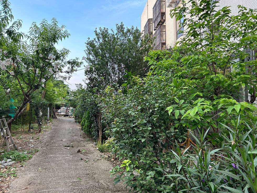 縮圖：大興西路交流道旁~世外桃源美農地
