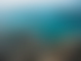 Vlada ne može izbjeći odgovornost za uništavanje državne imovine u Uljaniku