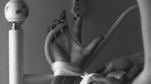porn3.gif
