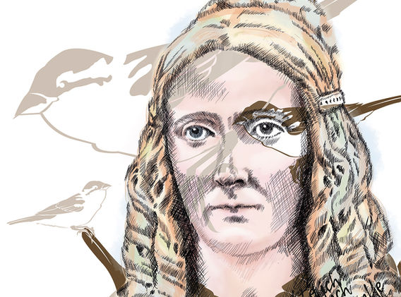 Annette von Droste-Hülshoff Portrait MixedMedia, analog & digital
2022
Zeichnung, Grafik als Giclée Print auf Hahnemühle 
Baumwollpapier, Hochdruck