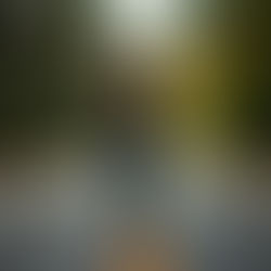 Three Ways Pressure Shows Up (and What It’s Really Trying to Tell You)