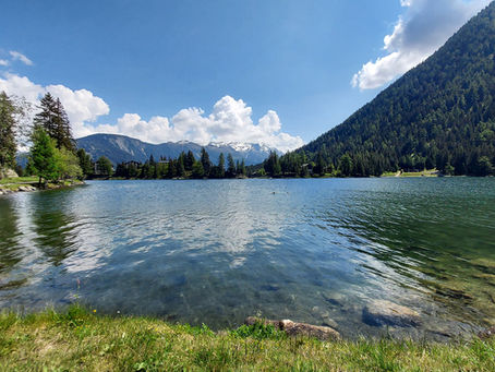 Pourquoi faire une retraite de méditation silencieuse en Suisse ?