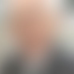 BLOÖ/ Obmann Dr. Gollner: LH Stelzer muss sich seiner Verantwortung im Fall Wojak stellen.