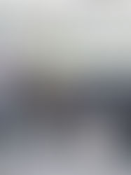 SpitzenkandidatInnen der Bürgerlisten OÖ gewählt