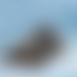 Visiting Svalbard: the island shaped like a Dorito