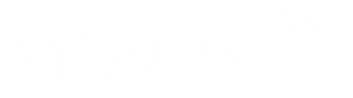 Logo gris transparent