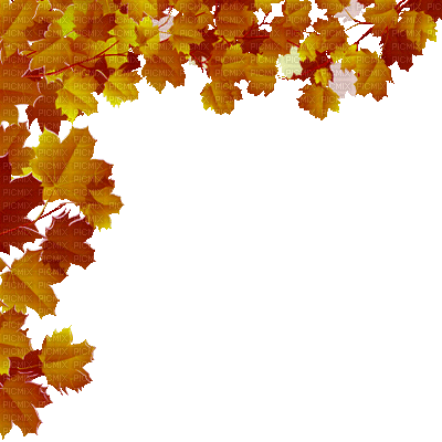 e0b54d099a39a3c5ca860ac0ca631999.gif