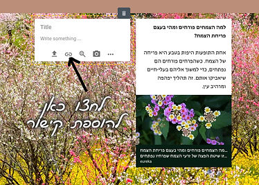Screenshot 2020-04-01 12.26.16.jpg