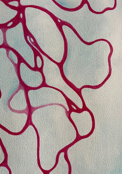 studio 4