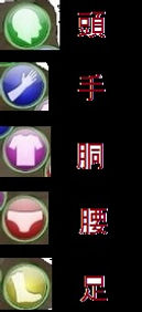 身体部位.jpg
