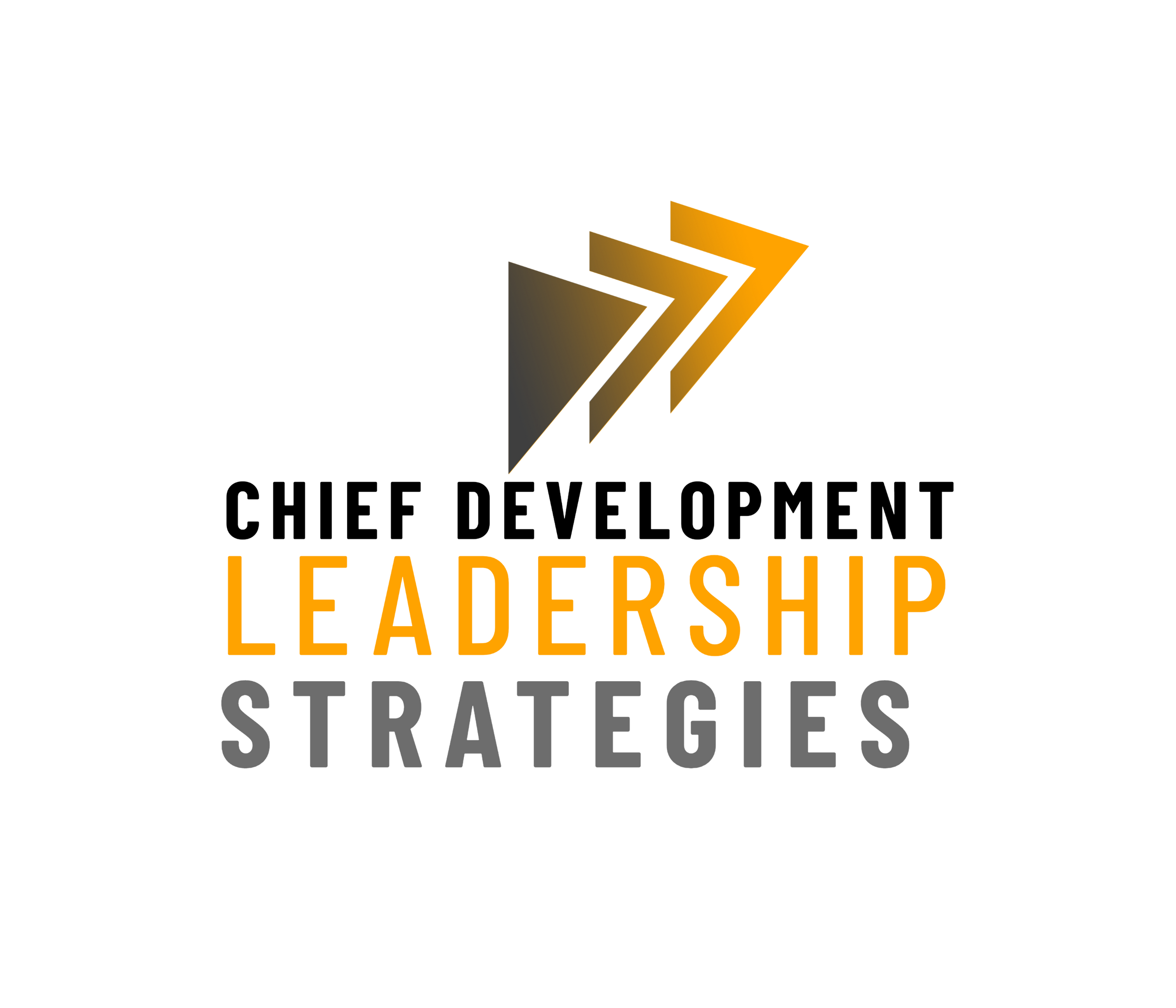 Chiefe Development.pdf Healthy Leadership | Chief Development | United States