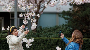 Online research relationships blossom in pandemic