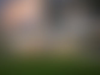 Building a Home in Tanglewood