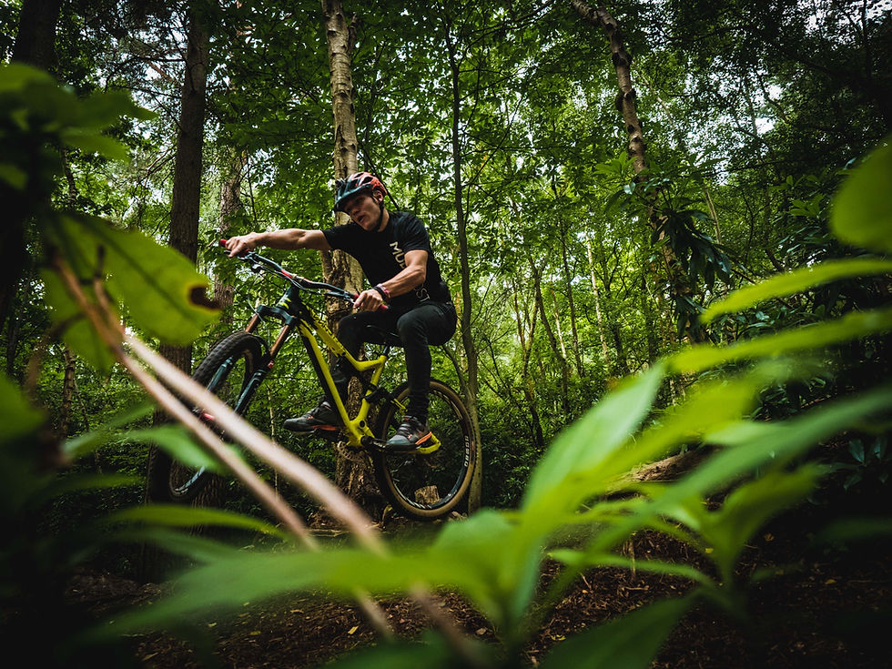 A Chilled Ride on Home trails