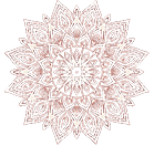 Zenna Rust Logo 725_edited_edited_edited.png