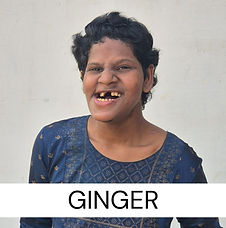 Ginger