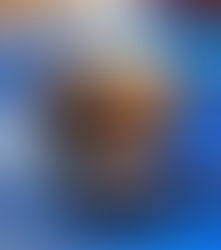 Recette facile du Royal chocolat ou Trianon Tupperware