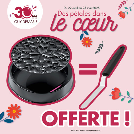 Moule Guy Demarle décor coeur