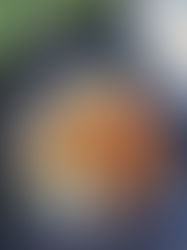 rougail saucisses merguez Thermomix