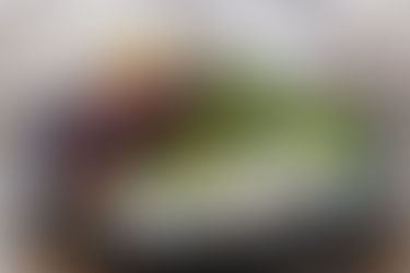 Betteraves Rouges : Bienfaits, Cuisson et Recettes Faciles pour une Alimentation Saine