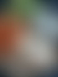 Le Pain de Mie aux Graines et Céréales : La Recette Maison Gourmande