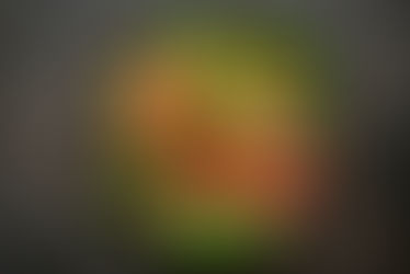 Salade tomate cerise, concombre et saumon fumé dans le salad on the go Tupperware