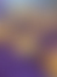 Ravioles aux légumes avec le ravioles party Tupperware