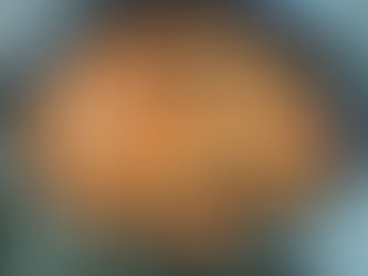 Recette du porc aux olives dans le micro 3 Tupperware