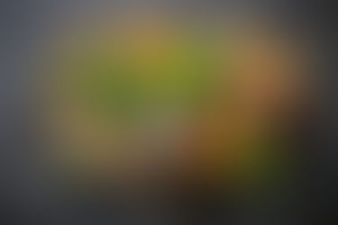 Les Meilleures Sources de Protéines Végétariennes