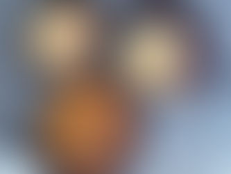 Poulet sauce aurore au micro 3 Tupperware