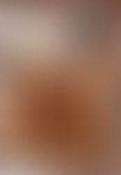 Buchettes Tiramisu dans le moule Guy Demarle