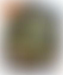 Moules de bouchot sauce Roquefort au Thermomix TM6