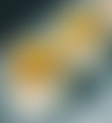 Exploration Gourmande : Crème Fève Tonka et Bananes Rôties aux Épices au Thermomix