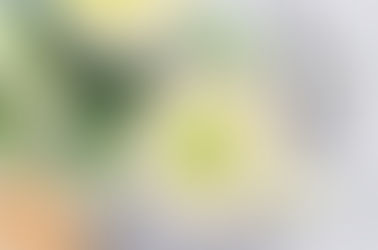 Soupe Minceur au Poireau et au Poulet: Un Délice Sain pour Votre Rééquilibrage Alimentaire