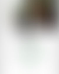 Découvrez les Offres Incroyables Thermomix du 27 Mai au 30 Juin 2024