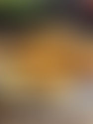 clafoutis rhubarbe fromage blanc moule twist