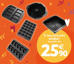 nouveauté moule Guy Demarle