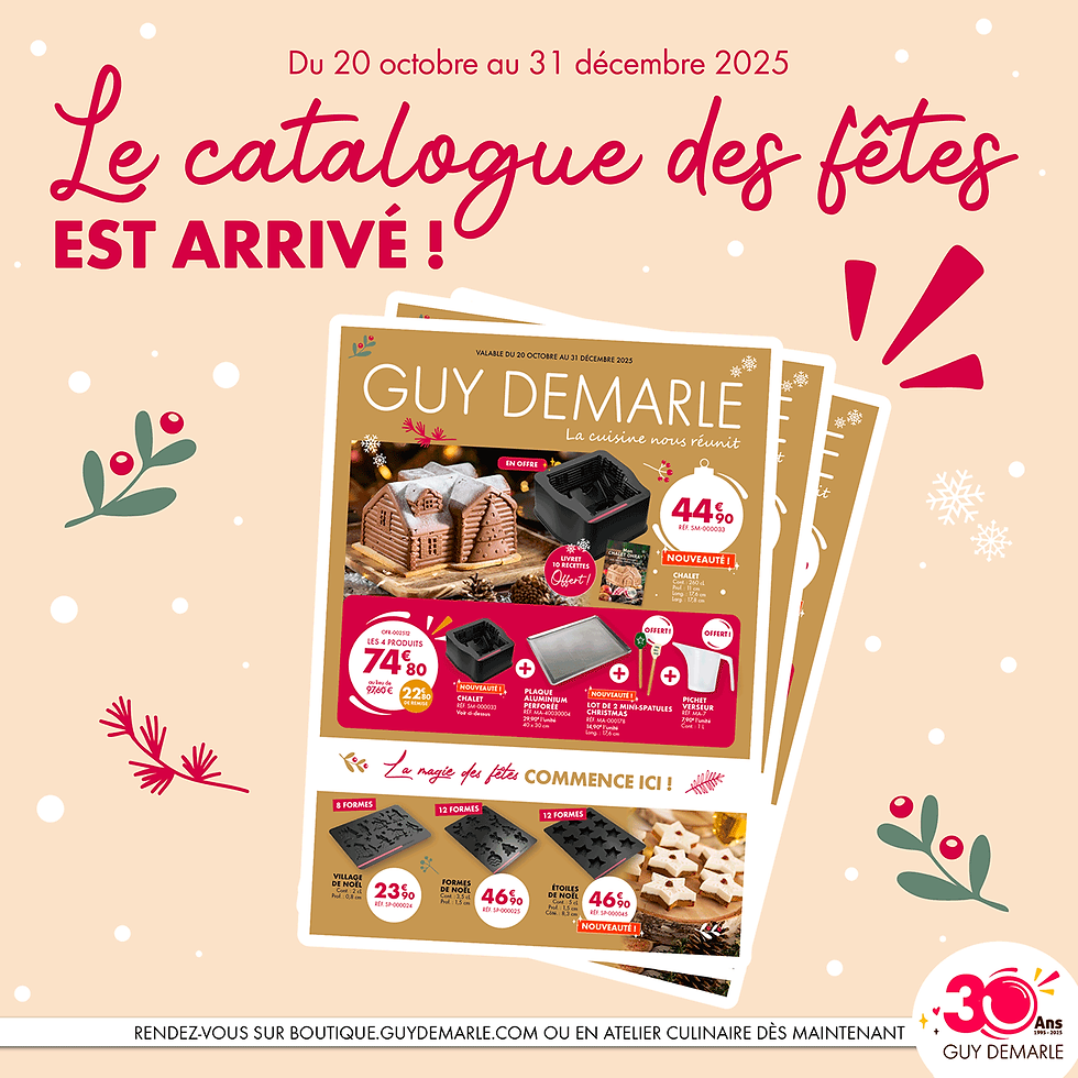catalogue de Noël Guy Demarle