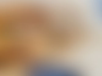 Pain express à la bière dans la terrine ultra pro 1.8 l Tupperware