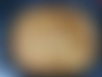 Gratin de ravioles du Dauphiné aux courgettes dans l'ultra pro Tupperware