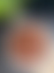 gateau au chocolat Thermomix et moule dune d'or Guy Demarle