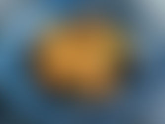 paella au micro minute Tupperware