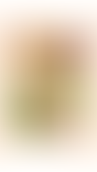 Dernier jour pour télécharger votre ebook de 100 recettes 100 % végétales