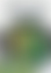 Promotions Tupperware du mois d'avril 2022 et promotion de la semaine