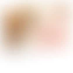 carte cadeau Guy Demarle