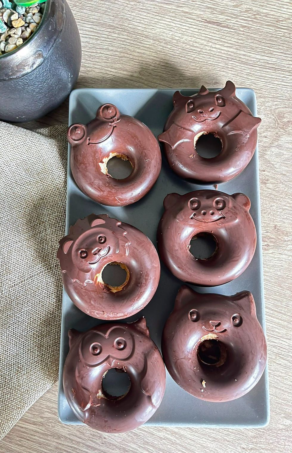 gateau au yaourt coque chocolat dans moule 12 donuts fantastiques Guy Demarle